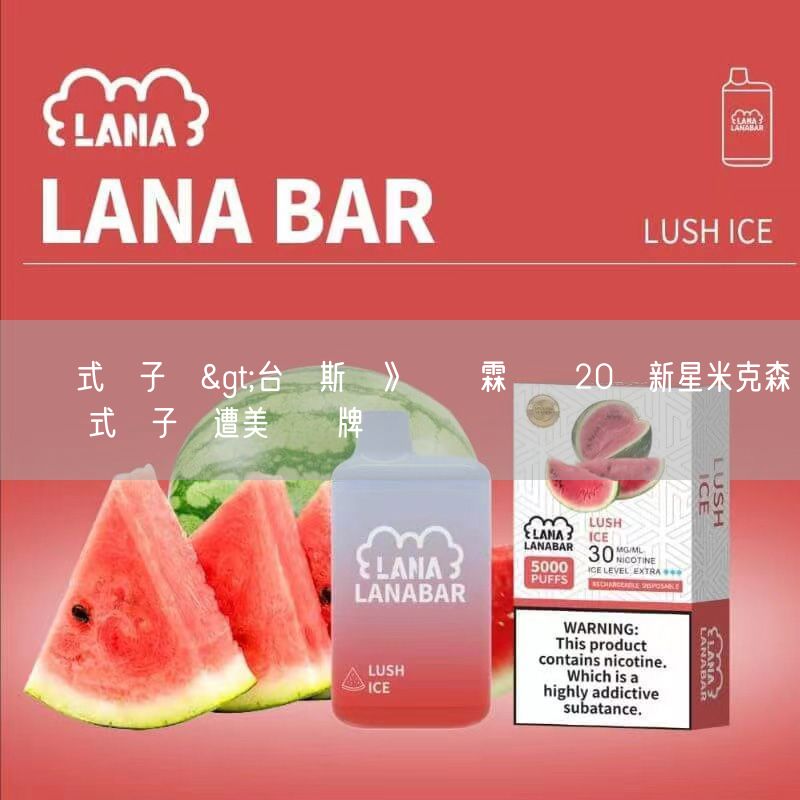 拋棄式電子煙>台維斯盃》吳東霖敗給20歲新星米克森 拋棄式電子煙遭美國聽牌